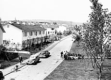 Die Siedlung Dreispitz in Schwamendingen Anfang der fünfziger Jahre.